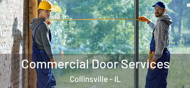  Commercial Door Services Collinsville - IL