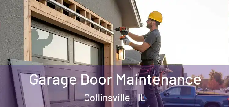  Garage Door Maintenance Collinsville - IL