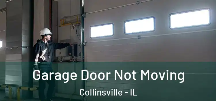  Garage Door Not Moving Collinsville - IL