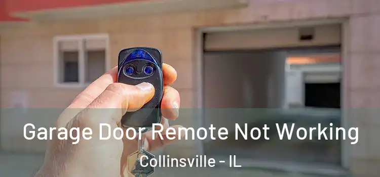  Garage Door Remote Not Working Collinsville - IL