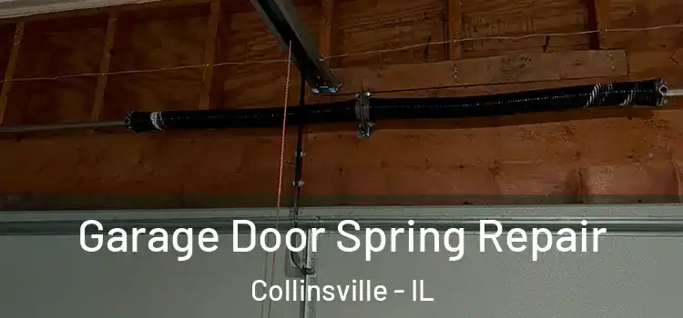  Garage Door Spring Repair Collinsville - IL