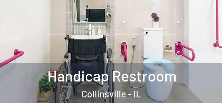Handicap Restroom Collinsville - IL