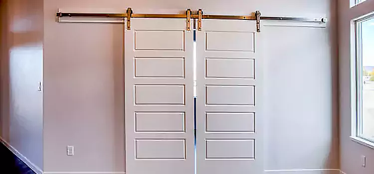 Glass Barn Door with Installation Hardware Kit Collinsville