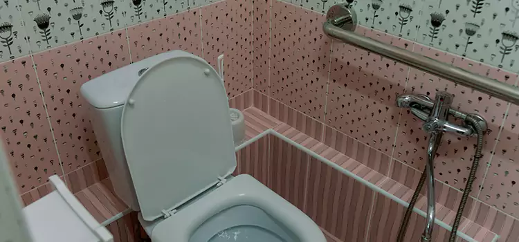 Meeting Diverse Needs With Accessible Restroom Solutions in Collinsville, IL