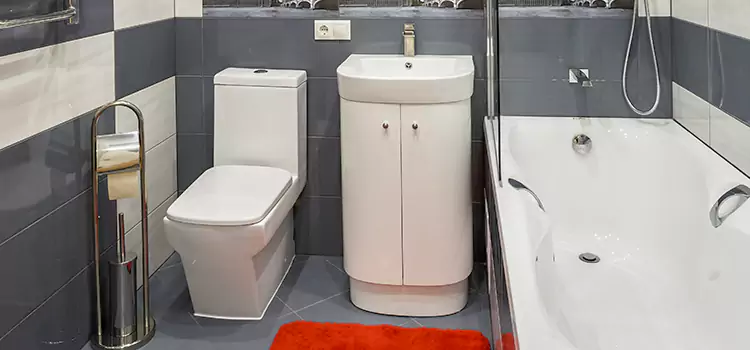 Hansgrohe Shaving Mirror Collinsville