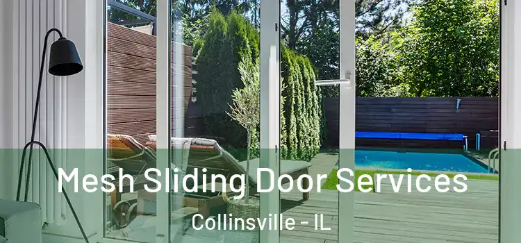 Mesh Sliding Door Services Collinsville - IL