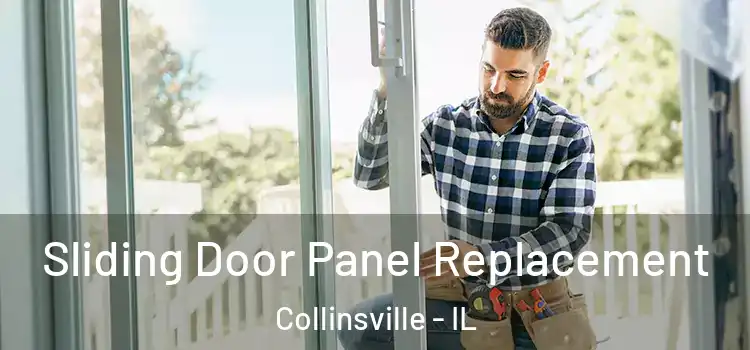  Sliding Door Panel Replacement Collinsville - IL