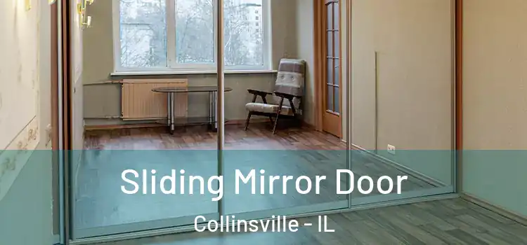  Sliding Mirror Door Collinsville - IL